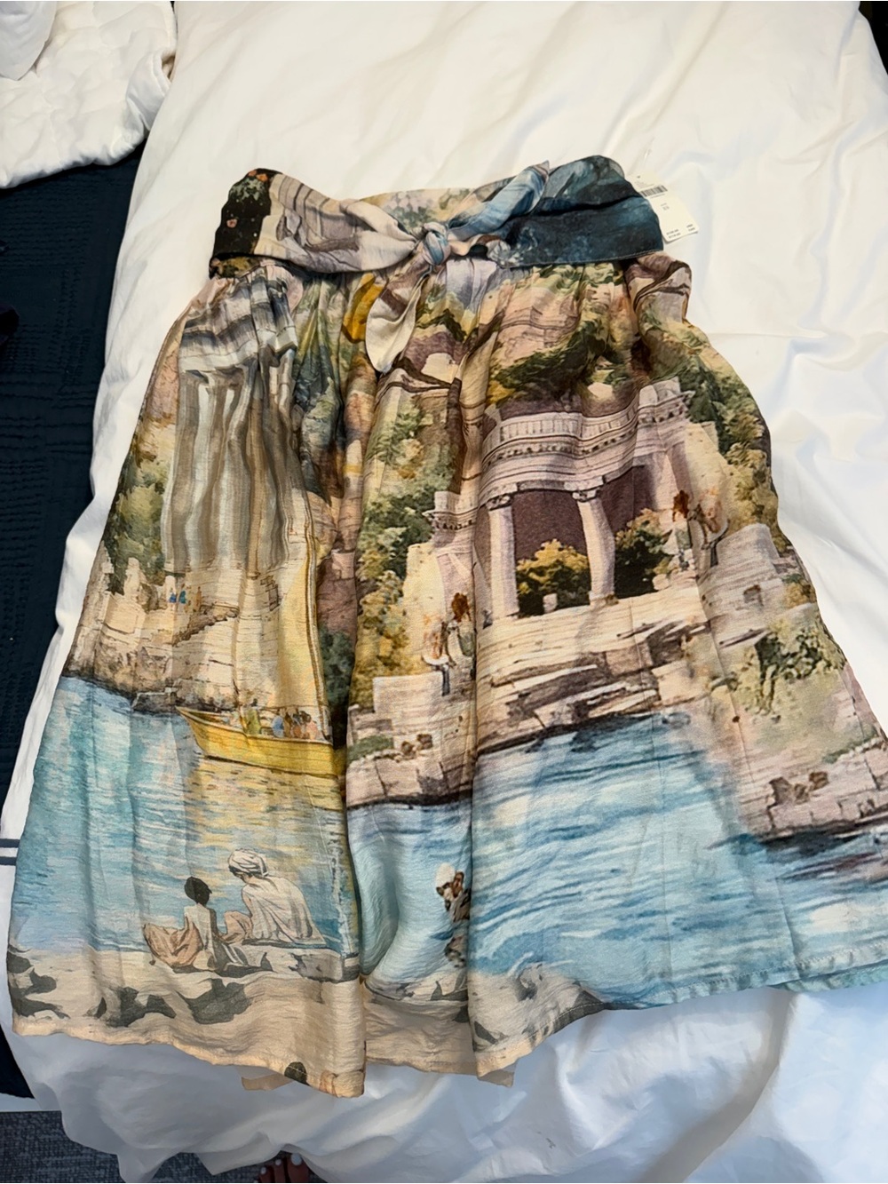 NWT Anthropologie x Pilcro scenic print dress ✨